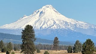 2024 Deschutes River Spring Salmon Fishing [upl. by Shandra823]