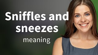 Understanding quotSniffles and Sneezesquot A Guide for English Language Learners [upl. by Assenal]