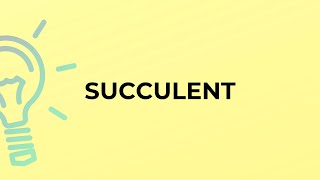 What is the meaning of the word SUCCULENT [upl. by Htirehc]