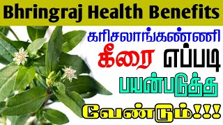 கரிசலாங்கண்ணியின் மருத்துவ பயன்கள்  Karisalankanni Keerai Health benefits in Tamil  BTTL [upl. by Paddie481]