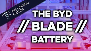 The BYD Blade Battery Evaluated The Hype is Real Mostly [upl. by Kenway]