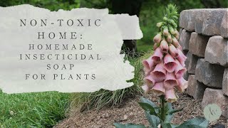 Homemade INSECTICIDAL SOAP SPRAY for Plants  NONTOXIC Plant Care [upl. by Meeharbi]