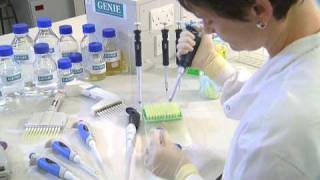 Using a Micropipette  University of Leicester [upl. by Obediah614]