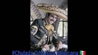 VICENTE FERNANDEZ RECITAL EN VIVO [upl. by Bobinette]