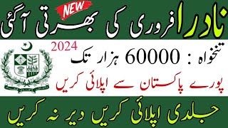 NADRA Jobs 2024  How to Apply  NADRA Jobs 2024 Apply Online [upl. by Yuzik]