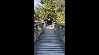 Step Back in Time at the Tindall Pioneer Homestead [upl. by Hofstetter]