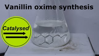 Testing my hydroxylamine  Synthesis of Vanillin oxime [upl. by Nageet]