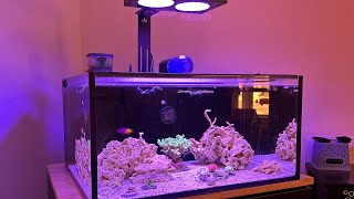 Explained Wavemakers amp Flow For Mixed Reef Nano Tanks [upl. by Ahsaet783]