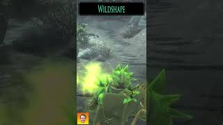 Checkout the spell WILDSHAPE from the Skyrim Spell Mod TRIUMVIRATE shorts [upl. by Gilges719]