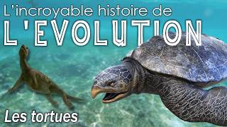 Aux origines des tortues  Évolution  Paléontologie  Simplex Paléo [upl. by Ardnuyek390]