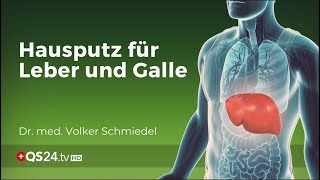 Hausputz für Leber und Galle  Dr med Volker Schmiedel  Naturmedizin  QS24 Gesundheitsfernsehen [upl. by Kannry]