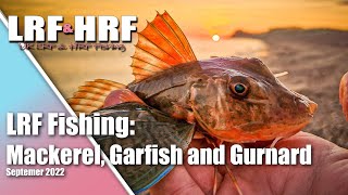 LRF Fishing Summer Lure Fishing for Mackerel and Gurnard [upl. by Anielram]