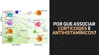 Por que associar corticoides e antihistamínicos Entendatamínico [upl. by Yrret]