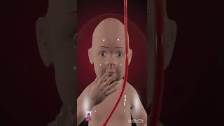 whisperso the wombcapturingthe unseen expressionsof grow 3D Animation shorts fetaldevelopment [upl. by Singleton407]