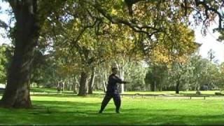 18 Forms Tai Chi Qigong shi ba shi Beginners Introductory Full Form [upl. by Gavrah64]