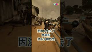 支援厄瓜多爾埃斯梅拉達斯的洪水災民│國際WeLoveU  張吉子 [upl. by Nosac628]