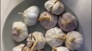 Garlic freeze trick Urdu zoz110 tricks explore youtubeshorts foryou fyp viralvideo trending￼ [upl. by Yelnahs]