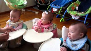 Triplets Eating for the First Time [upl. by Eipper]