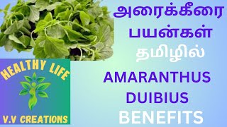 அரைக்கீரை பயன்கள் தமிழில்AMARANTHUS DIBIUS BENEFITS [upl. by Amilas]