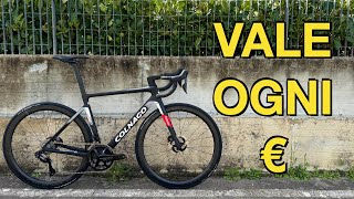 VOGLIO COMPRARE LA BICI DI POGACAR COLNAGO V4RS TEAM 2024 [upl. by Ralfston697]