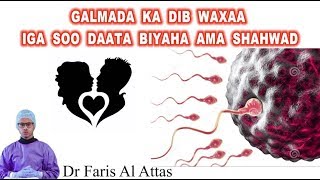 GALMADA KA DIB WAXAA IGA SOO DAATA BIYAHA AMA SHAHWAD Dr faris [upl. by Penman636]