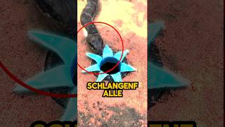 Schockierende Schlangenfalle 🐍shorts schlange [upl. by Gnal86]