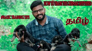 How to Train your Dog Tamil 30 days puppy can train  German shepherd Dog Training tamil [upl. by Atimed]