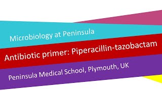 Antibiotic primer 5  piperacillintazobactam [upl. by Nanice433]