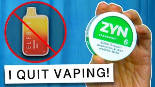 ZYN My Secret to FINALLY Kicking the Vaping Habit [upl. by Jaenicke693]