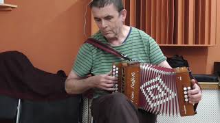 Emma Finnish Waltz  Anahata melodeon [upl. by Yleik481]