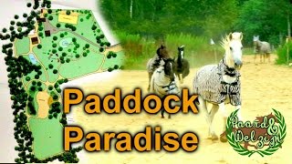 PaardampWelzijn 1 Het Paddock Paradise  ENGL SUBS  felinehoi [upl. by Eednam]