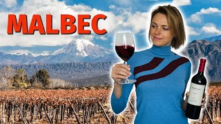 Wine Grapes 101 MALBEC [upl. by Duvall]