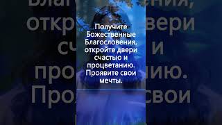 Эфирные Звуки Путешествие в Невероятный Мир Спокойствия и Гармонии [upl. by Blanche]