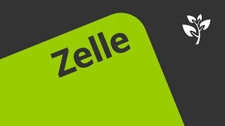 Zellen und Zellformen  Biologie  Cytologie [upl. by Sonahpets]