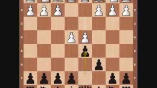 Chess Openings Caro Kann [upl. by Ilohcin]