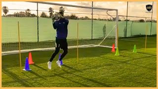 Professional Goalkeeper Training [upl. by Ardle452]