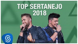 Top Lançamentos Sertanejo 2019  Os Melhores Clipes [upl. by Nairot391]