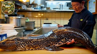 Explore Japanese cuisine How the chefs prepare Giant Moray Eel into delicious dishes Emison Newman [upl. by Akahc]