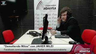 Proteccionismo explicado  Javier Milei [upl. by Notgnirrac]