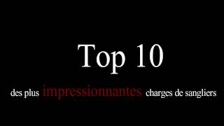 Chasse  Top 10 des plus impressionnantes charges de sangliers [upl. by Birgit]