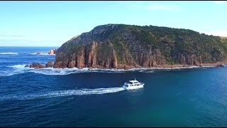 Cape Woolamai Cruise  Phillip Island  Wildlife Coast Cruises [upl. by Yma]