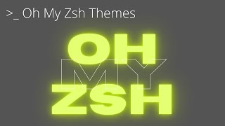 03  With Linux  Oh My Zsh Themes To Change The Look Of your ZSHl agnoster bira amuse sorin [upl. by Verlie850]