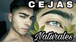 Cejas Pobladas y Naturales 😍🌿Crecer las Cejas 😵 [upl. by Toma]