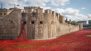 Poppy memorial timelapse at Tower of London from dawn to dusk [upl. by Aihsoj]