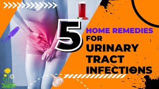 5 Home Remedies for Urinary Tract Infections  UTI Home Remedies  UTIs [upl. by Ardnaiek576]