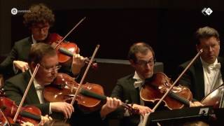 Mendelssohn Concerto for Violin and Strings  Concertgebouw Chamber Orchestra  Live concert HD [upl. by Golding499]