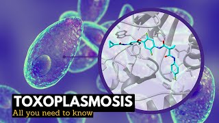 Toxoplasmosis What You Need To Know [upl. by Halsey]