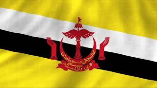 Brunei National anthem Instrumental with waving flag [upl. by Dippold]