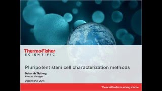 Pluripotent stem cell characterization methods [upl. by Saint166]