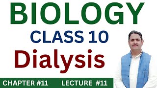 Dialysis Class 10  Biology Class 10th  Chapter 11 [upl. by Mcbride]